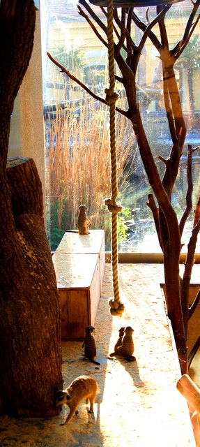 sunset in schönbrunn