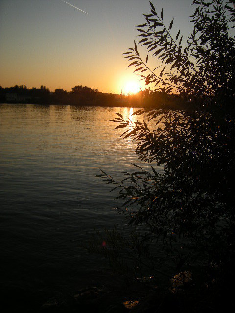 Sonnenuntergang an der Donau