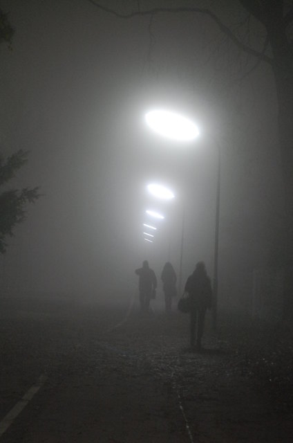 Nebel in Wien