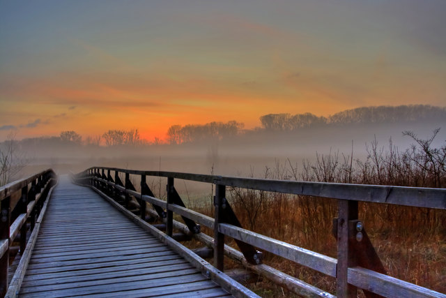 Der Josefsteg in der Lobau