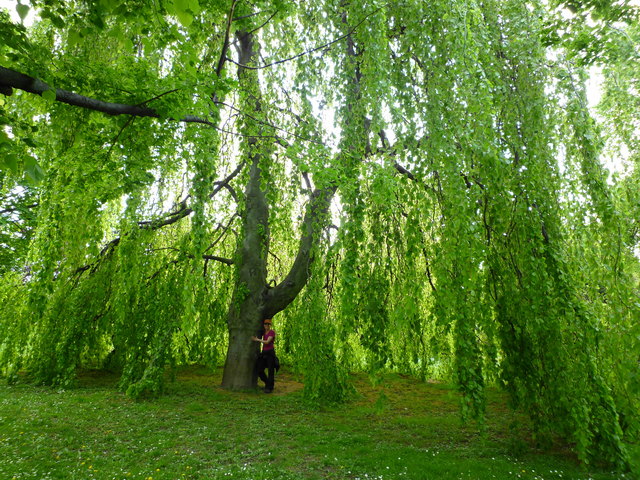 Heiligenstädter Park
