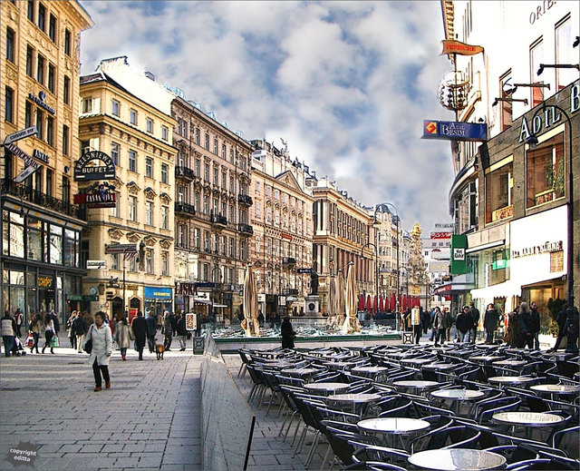 Schani trag den Garten rein kalt ist´s!