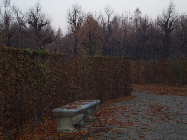 Herbst im Schloßpark Schönbrunn