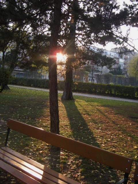 ein Nachmittag im Währinger Park