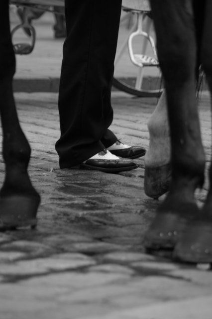 Die Eleganz der Stadt im Einklang mit der Tradition der Stadt