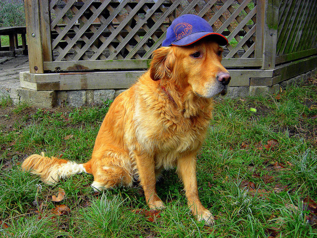 Leopold vom Wilhelminenberg in Ottakring