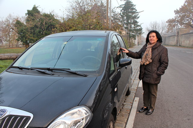 Hier war Rosa Wagners Auto geparkt. Der Schaden: Scheibe kaputt, Innenraum teilweise zerstört und besonders ekelhaft: Die Täter haben im Auto ihre Notdurft verrichtet!