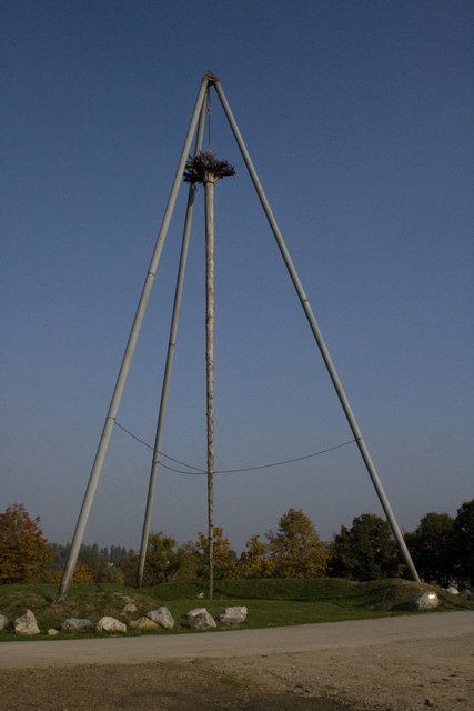 Baum richtig = Natur! Baum andersrum = Kunst?