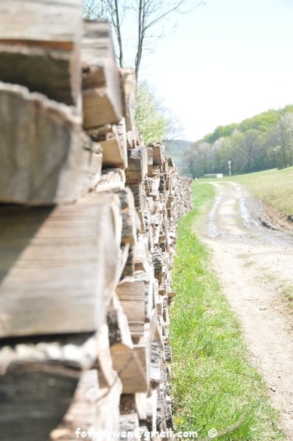 Wienerwald-der nächste Winer kommt bestimmt