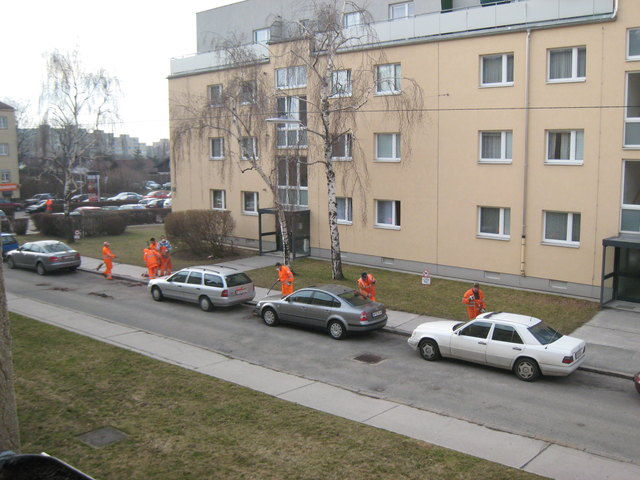 Frühlingsputz in Wien