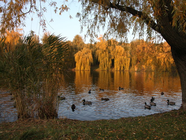 herbst im volkspark