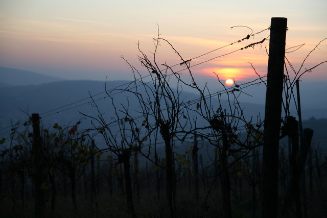 ...auch das ist Wien