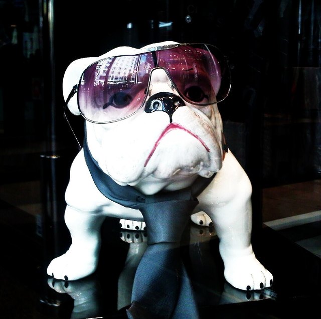 Dekorateurhumor-Wien 2011