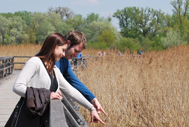 Drunt' in der Lobau ...