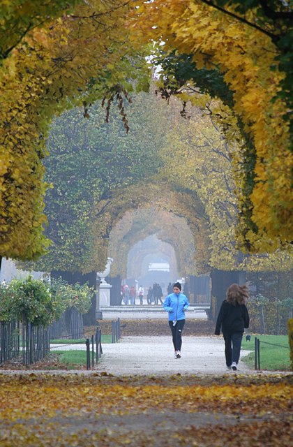 Herbst in Schönbrunn