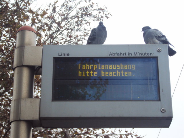 WUNDERSCHÖNE GESPRÄCHE IN WIEN.2011