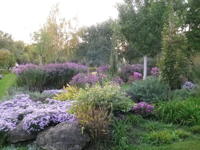 Wunderschön bunter Donaupark