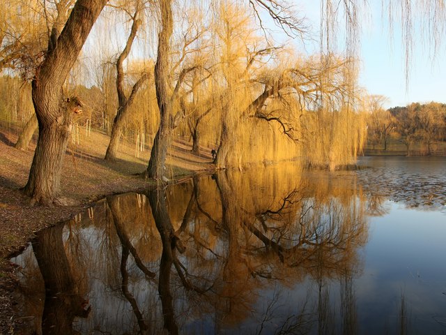 herbst im volkspark