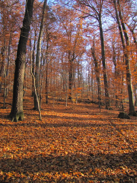herbstliche Impressionen