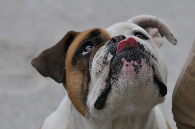 Wann krieg ich mein Leckerli ?