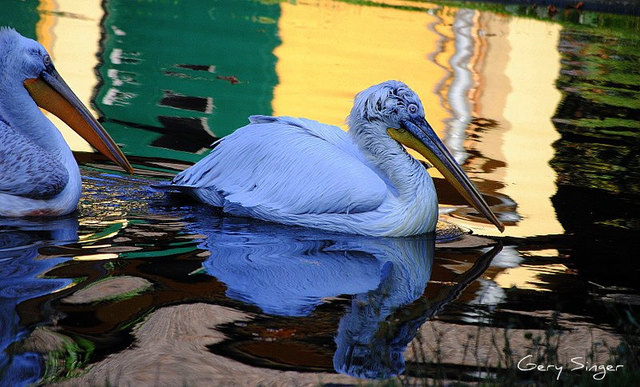 Unterwegs im Tiergarten Schönbrunn