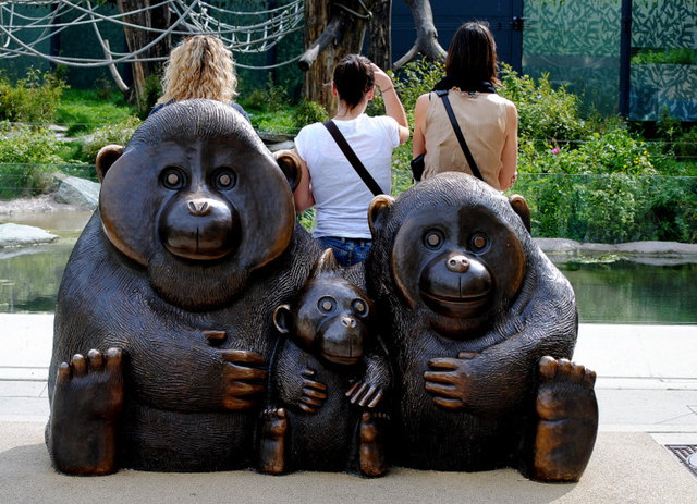 TRIO  ( Tiergarten Schönbrunn )
