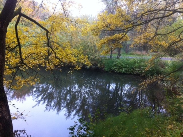 Kurpark Oberlaa im Hebst 2011