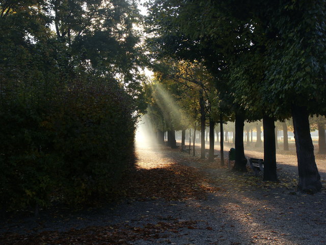 Augarten im Herbst