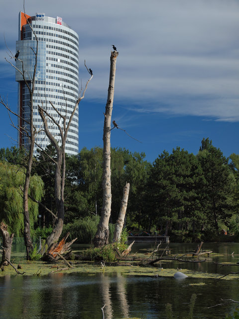 Architektur trifft Natur