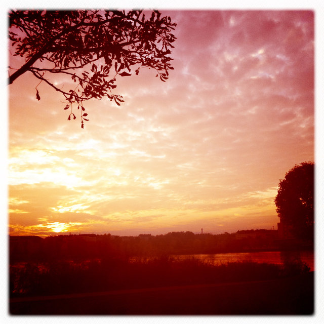 Herbstlicher Blick von der Donauinsel, 2011