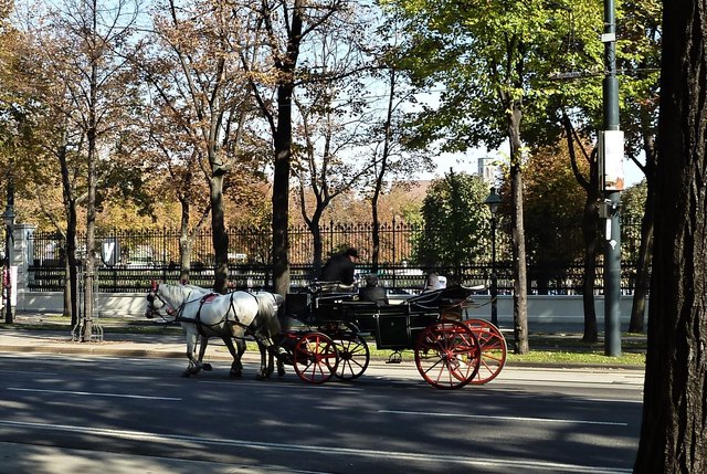 Fiaker im Herbst
