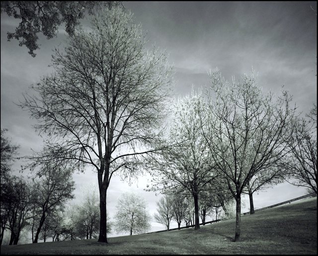 In der Brigittenau im November, Infrarotfoto