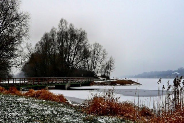 neue donau, toter grund - ein wunderschöner platz in wien