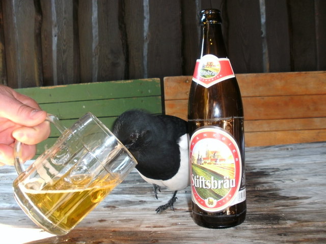 Einen Schluck in Ehren kann keiner verwehren