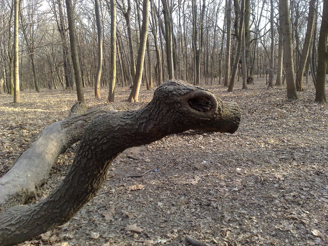Um Vorsicht wird bei der Prater Hauptallee gebeten!