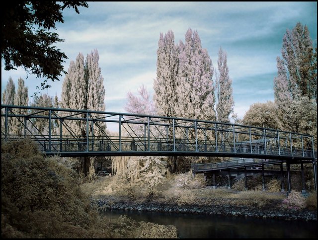 Am Donaukanal mit Nußdorfer Steg im November, Infrarotfoto