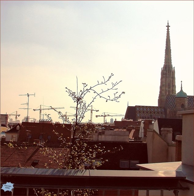 Der Stephansdom im Gegenlicht