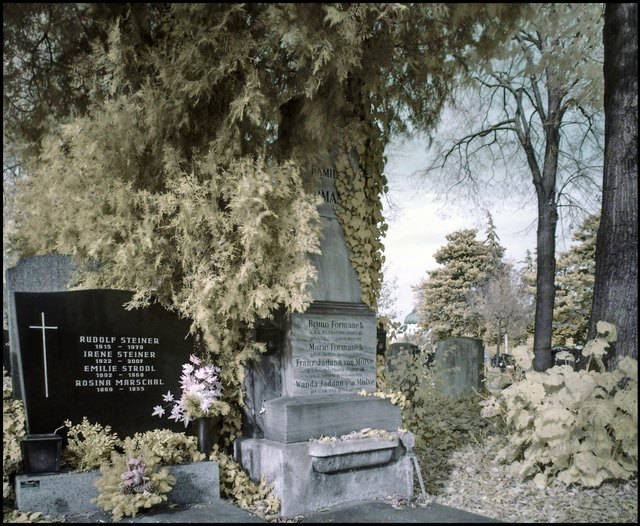 Auf dem Zentralfriedhof im November, Infrarotfoto