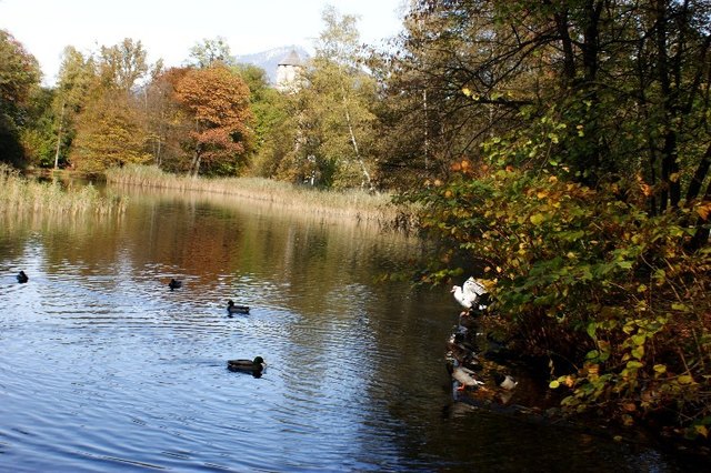 Der urige Matzenpark bei Brixlegg