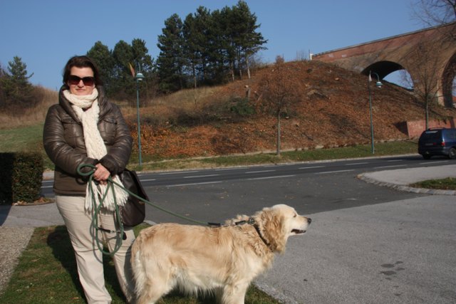Die Grüne Gemeinderätin Sonja Sieber zeigt sich erschüttert über den Kahlschlag am Sieberberg.