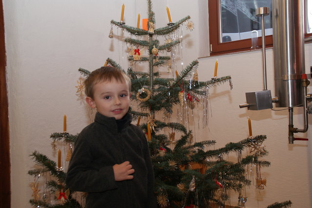 Für Paul war dieser Baum der schönste!