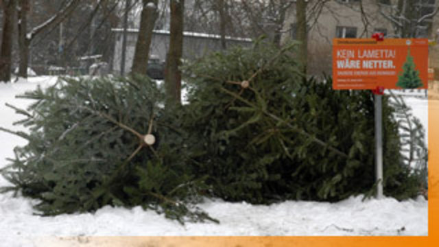 Die MA 48 ersucht: „Nur den Christbaum, keinen Schmuck, bitte!“ | Foto: MA 48