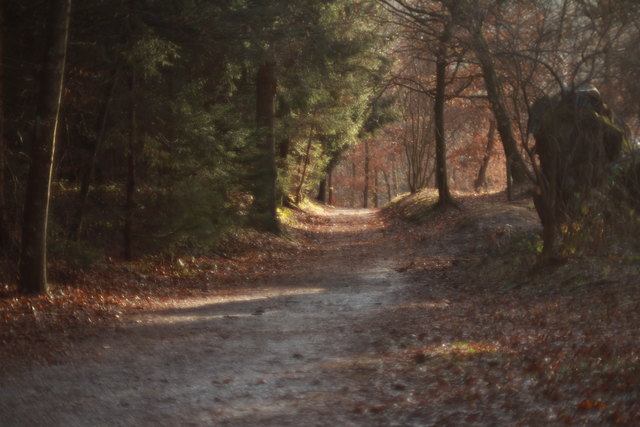 Am Weg zum Gehege