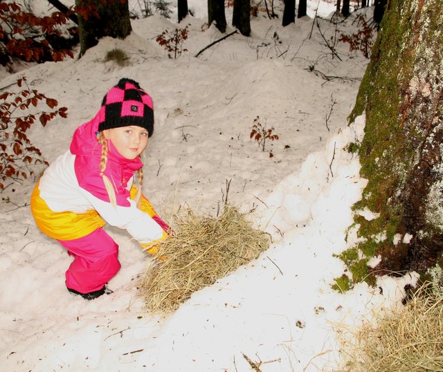 Die Kinder durften Heu im Wald für die Rehe verteilen.