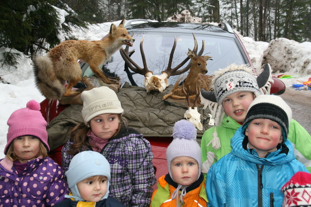 Eine Gruppe vor d. Präparaten v. Fuchs und Rehkitz sowie einem Hirschgeweih.