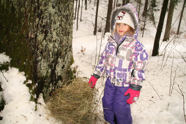 Die Kinder durften Heu im Wald für die Rehe verteilen.