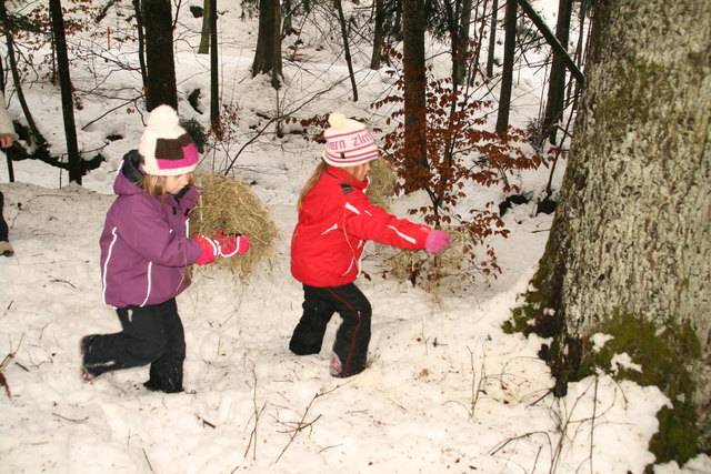 Die Kinder durften Heu im Wald für die Rehe verteilen.