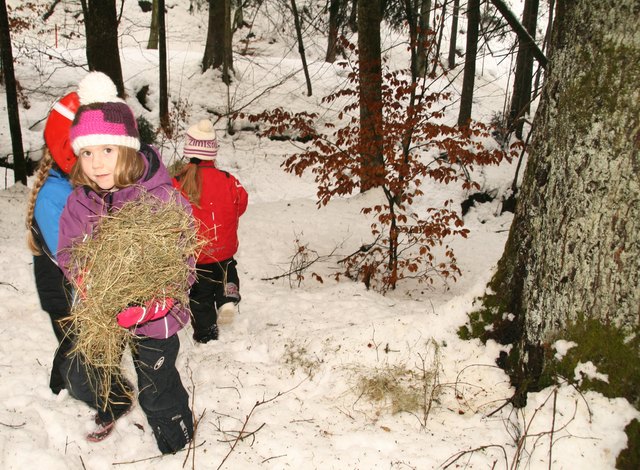 Die Kinder durften Heu im Wald für die Rehe verteilen.