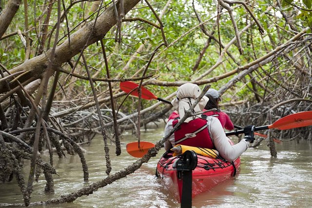 Kajakfahren im Everglades National Park, USA, November 2011 | Foto: Dmitry Sharomov/Mike Horn