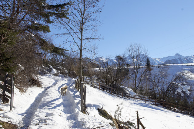 Im Hintergrund die Ötztaler Alpen